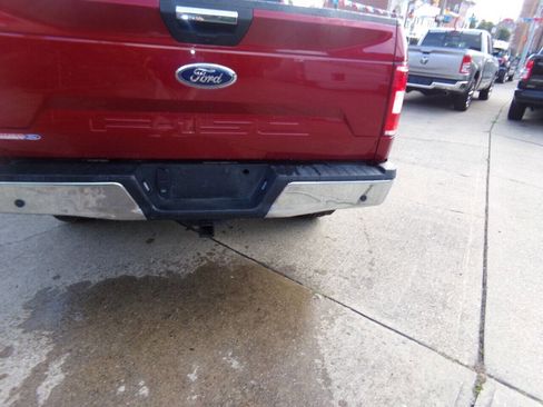 Used 2019 Ford F150 XLT w/ Equipment Group 302A Luxury image 4