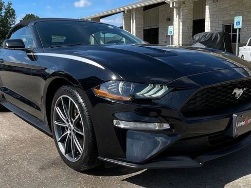 Used 2019 Ford Mustang Premium w/ Equipment Group 201A RWD image 3