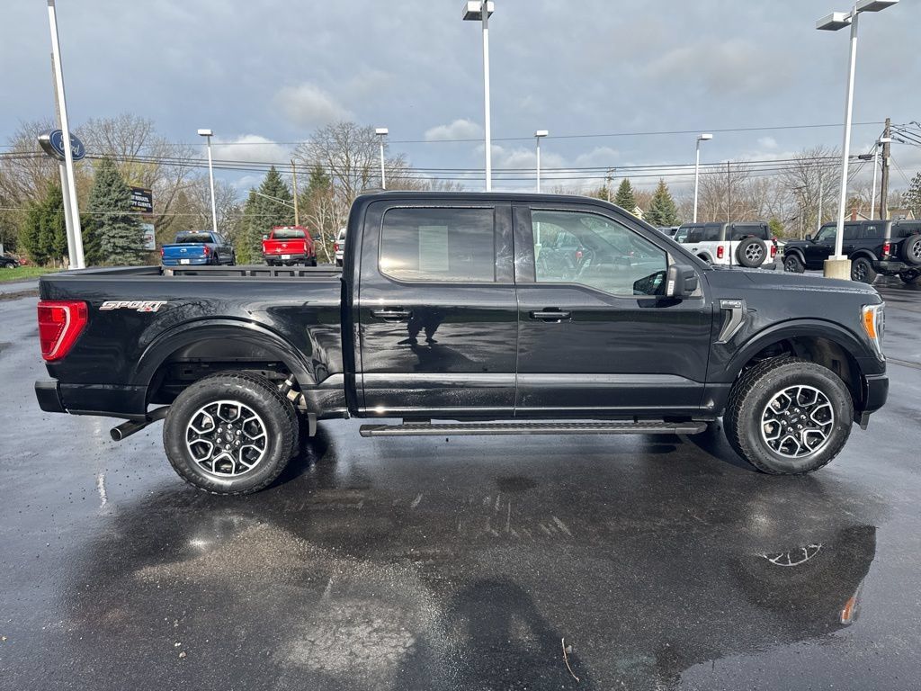Used 2023 Ford F150 XLT w/ Equipment Group 302A High AWD/4WD image 11