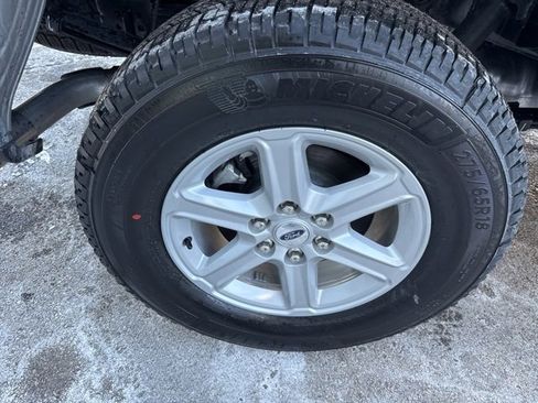 New 2025 Ford F150 XLT w/ Equipment Group 302A MID image 13