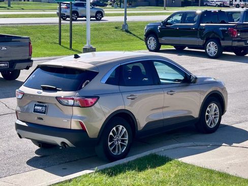 Used 2020 Ford Escape SE AWD/4WD image 6