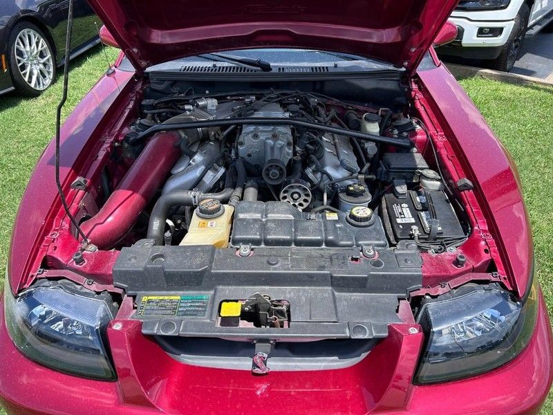 Used 2004 Ford Mustang Cobra RWD image 9