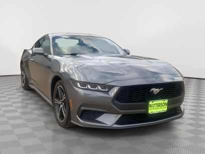 Used 2024 Ford Mustang Premium