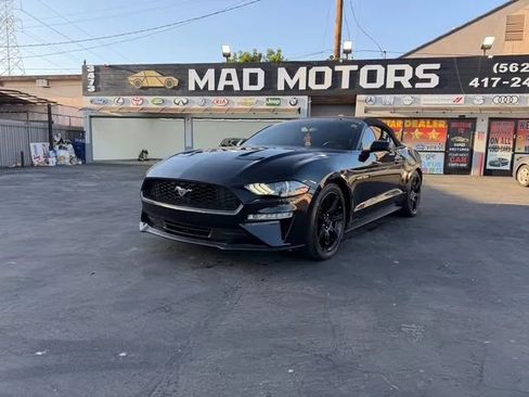 Used 2019 Ford Mustang Premium image 1