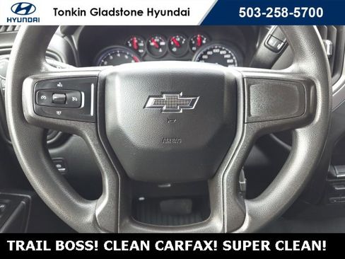 Used 2019 Chevrolet Silverado 1500 Custom Trail Boss image 14