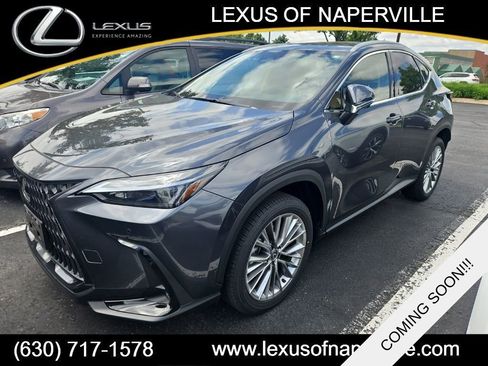 Used 2025 Lexus NX 350h AWD w/ Accessory Package (2T) image 1