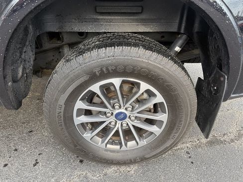 Used 2019 Ford F150 XLT w/ Equipment Group 302A Luxury AWD/4WD image 39