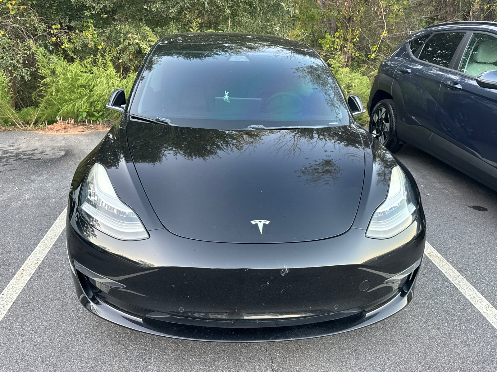 Used 2019 Tesla Model 3 Standard Range Plus RWD image 2