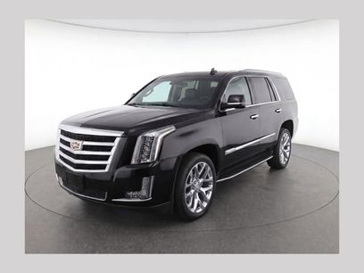 Used 2015 Cadillac Escalade Luxury