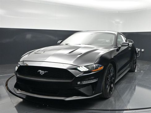 Used 2019 Ford Mustang Premium w/ Ecoboost Performance Package RWD image 2