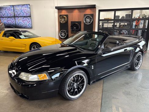 Used 1999 Ford Mustang Cobra RWD image 3