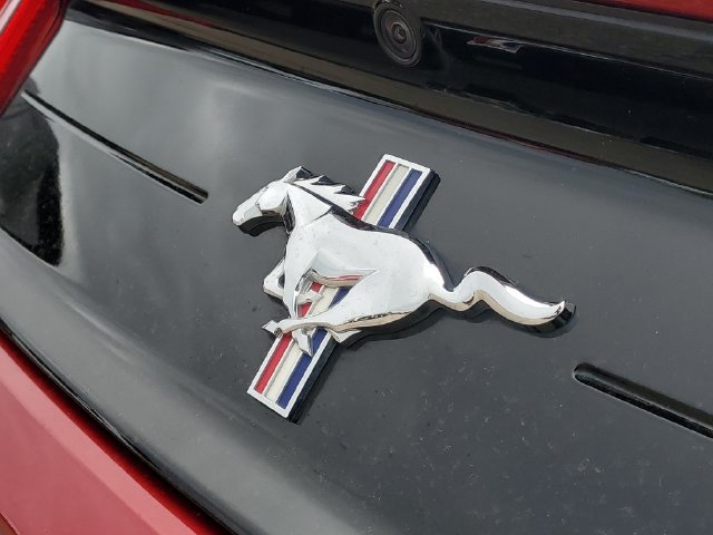 Used 2021 Ford Mustang Premium w/ Equipment Group 201A RWD image 6