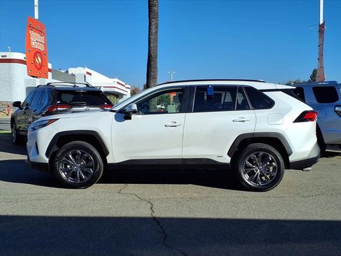 Certified 2024 Toyota RAV4 XLE Premium image 3