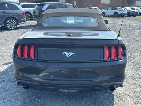 Used 2019 Ford Mustang Premium RWD image 7