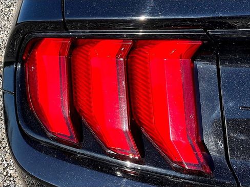 Used 2019 Ford Mustang GT w/ Equipment Group 301A image 25