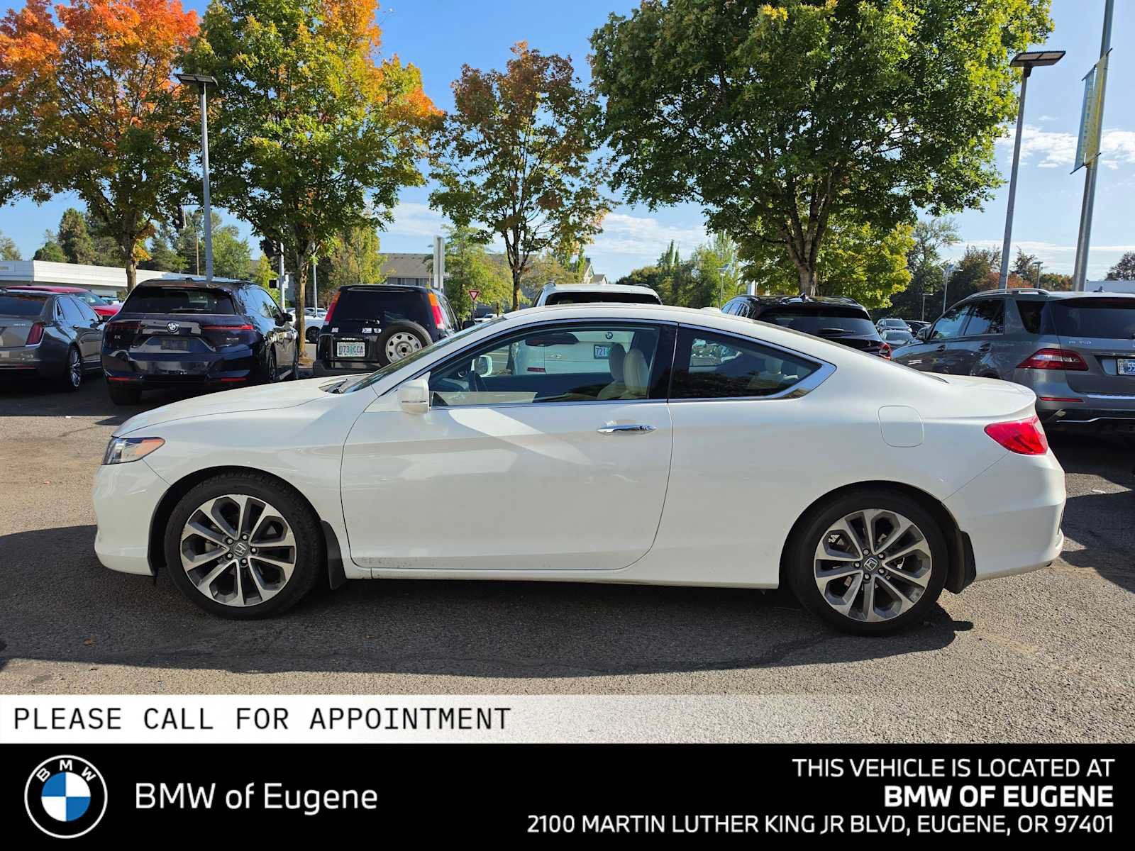 Used 2013 Honda Accord EX-L image 6