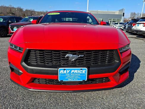 Certified 2025 Ford Mustang Premium image 2