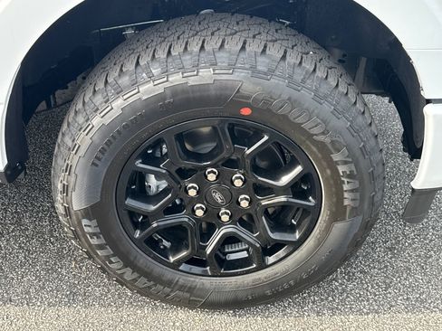 New 2025 Ford F150 XLT w/ Equipment Group 302A MID image 13