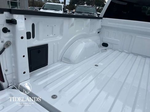 New 2025 Ford F150 STX w/ STX Black Appearance Package image 11