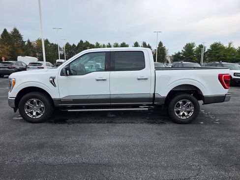 Used 2023 Ford F150 XLT w/ Equipment Group 302A High image 2