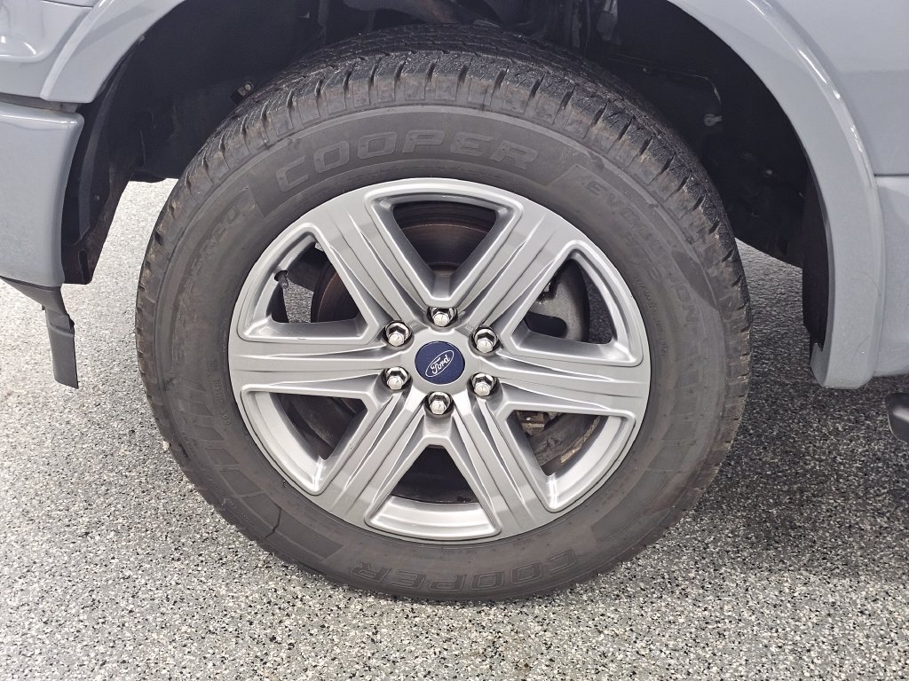 Used 2019 Ford F150 XLT w/ Equipment Group 302A Luxury AWD/4WD image 10