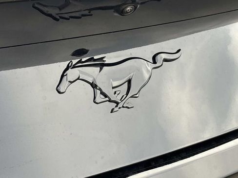 New 2026 Ford Mustang Convertible w/ Mustang Nite Pony Package image 12