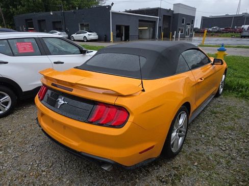 Used 2019 Ford Mustang Premium w/ Pony Package RWD image 2