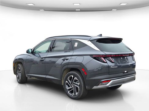 New 2026 Hyundai Tucson Limited image 5