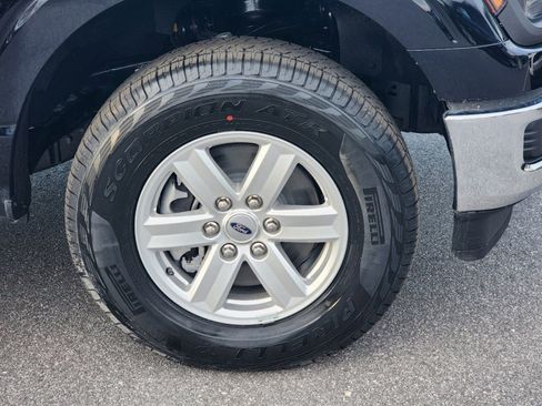 Used 2025 Ford F150 XL w/ Equipment Group 103A High image 10