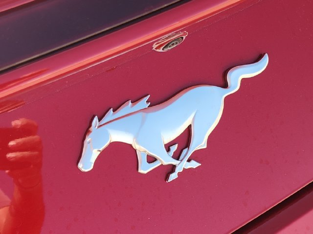 Used 2024 Ford Mustang Premium RWD image 8