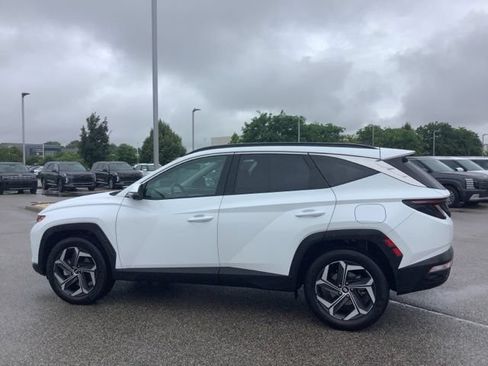 Used 2024 Hyundai Tucson Limited AWD/4WD image 8