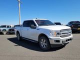 Used 2019 Ford F150 XLT w/ Equipment Group 302A Luxury image 4