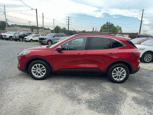Used 2020 Ford Escape SE AWD/4WD image 2