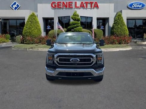 Used 2021 Ford F150 XLT w/ Equipment Group 302A High image 2