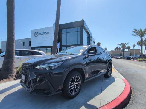 Used 2024 Lexus NX 350h AWD image 2