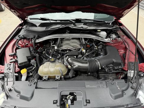 Used 2019 Ford Mustang GT Premium w/ Performance Package - Level 2 RWD image 14