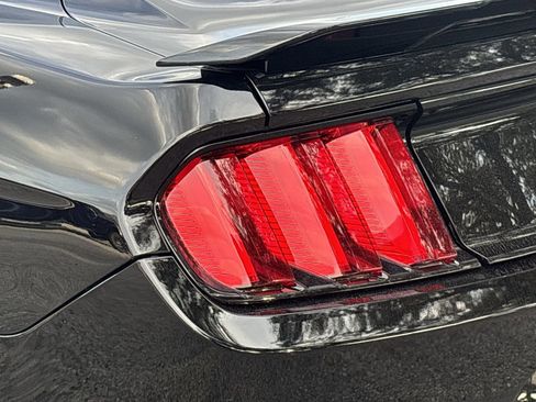 Used 2017 Ford Mustang Shelby GT350 image 7