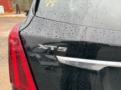 Used 2023 Cadillac XT5 Premium Luxury image 10