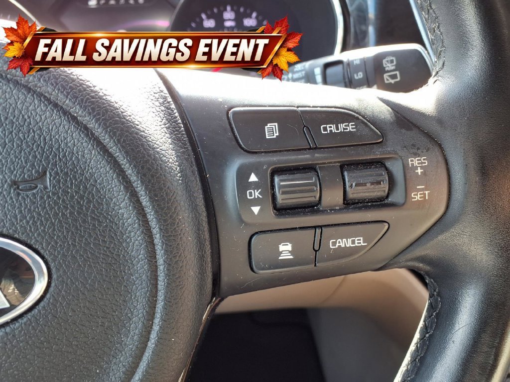 Used 2016 Kia Sedona SX FWD image 20
