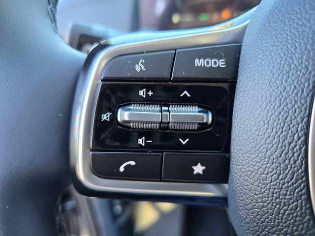 New 2026 Kia Carnival SX Prestige FWD image 13