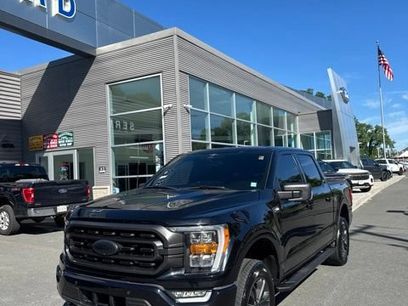 Used 2023 Ford F150 XLT w/ Equipment Group 302A High
