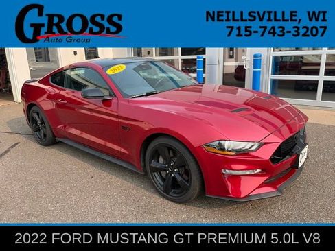 Used 2022 Ford Mustang GT Premium w/ Equipment Group 401A RWD image 1