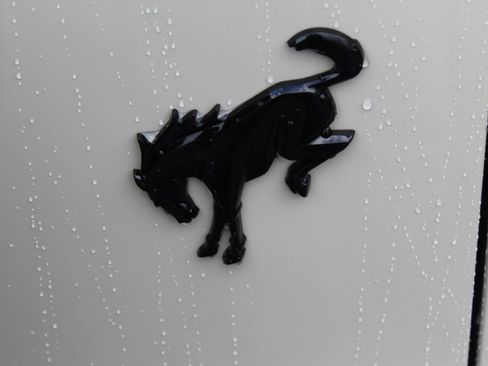 New 2025 Ford Bronco Outer Banks image 4