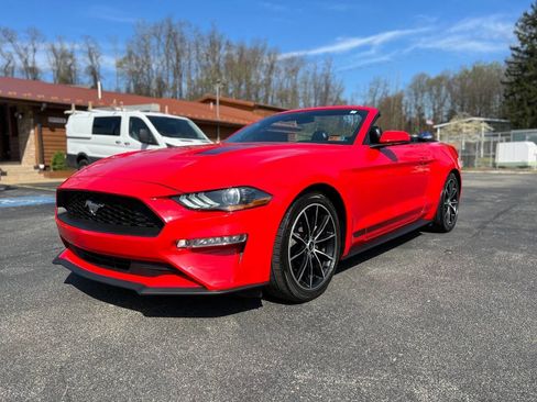 Used 2020 Ford Mustang Premium w/ Equipment Group 201A image 1