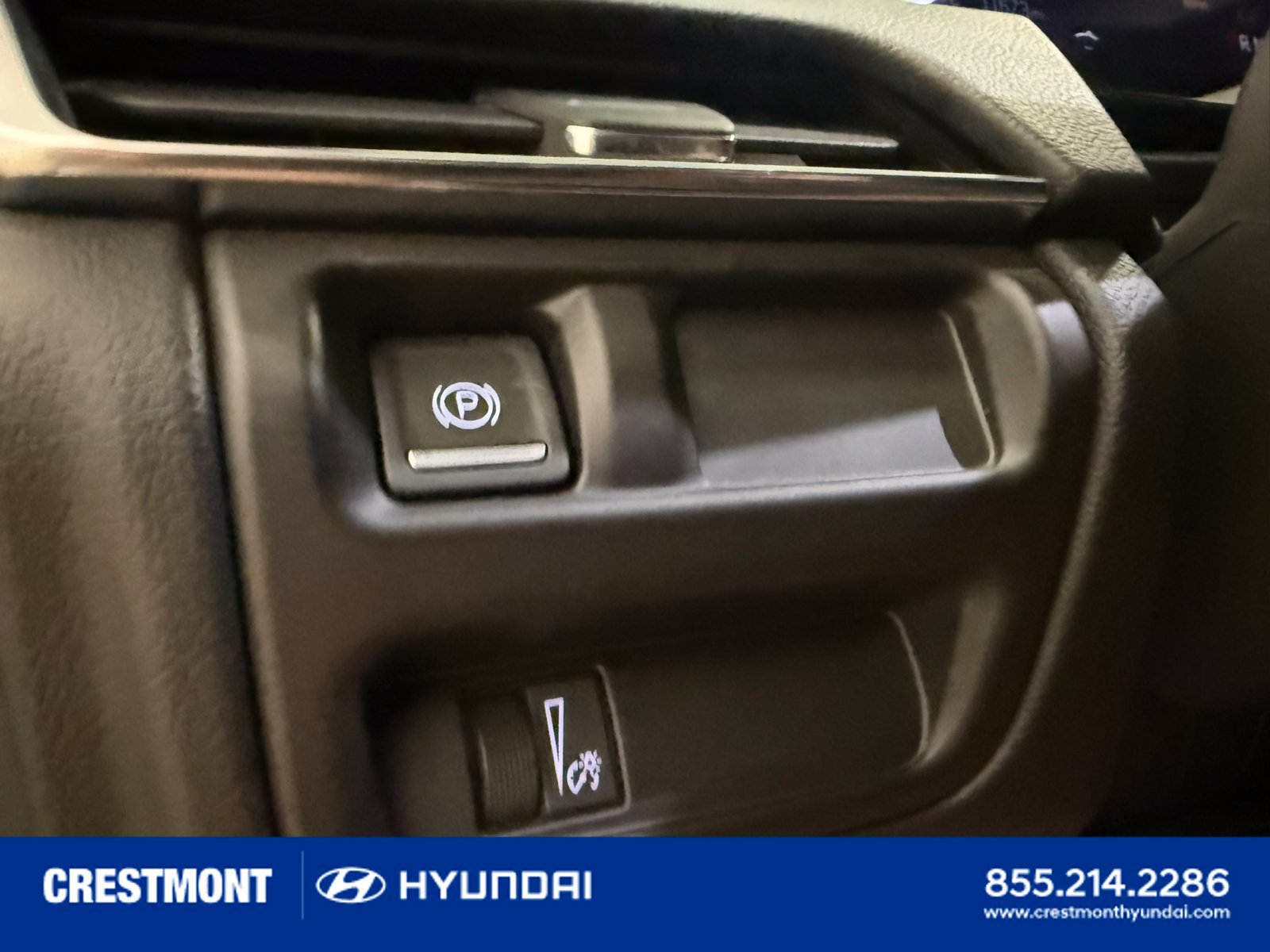 Used 2025 Cadillac CT5 Sport w/ Sun And Sound Package AWD/4WD image 35