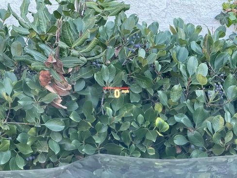 Used 2023 BMW X6 xDrive40i image 32