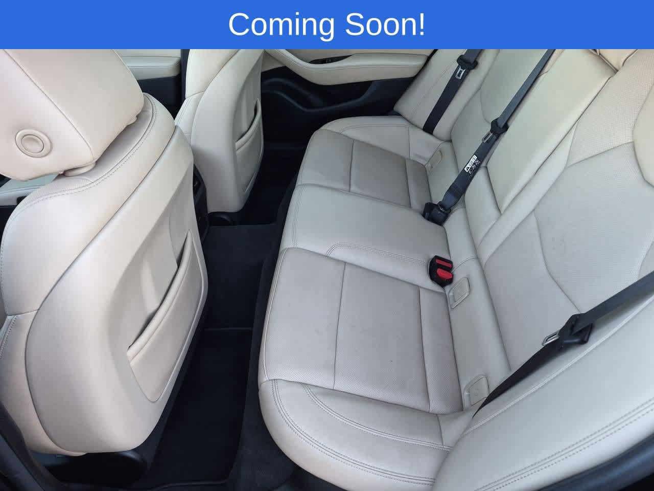 Used 2024 Cadillac CT5 Premium Luxury AWD/4WD image 20