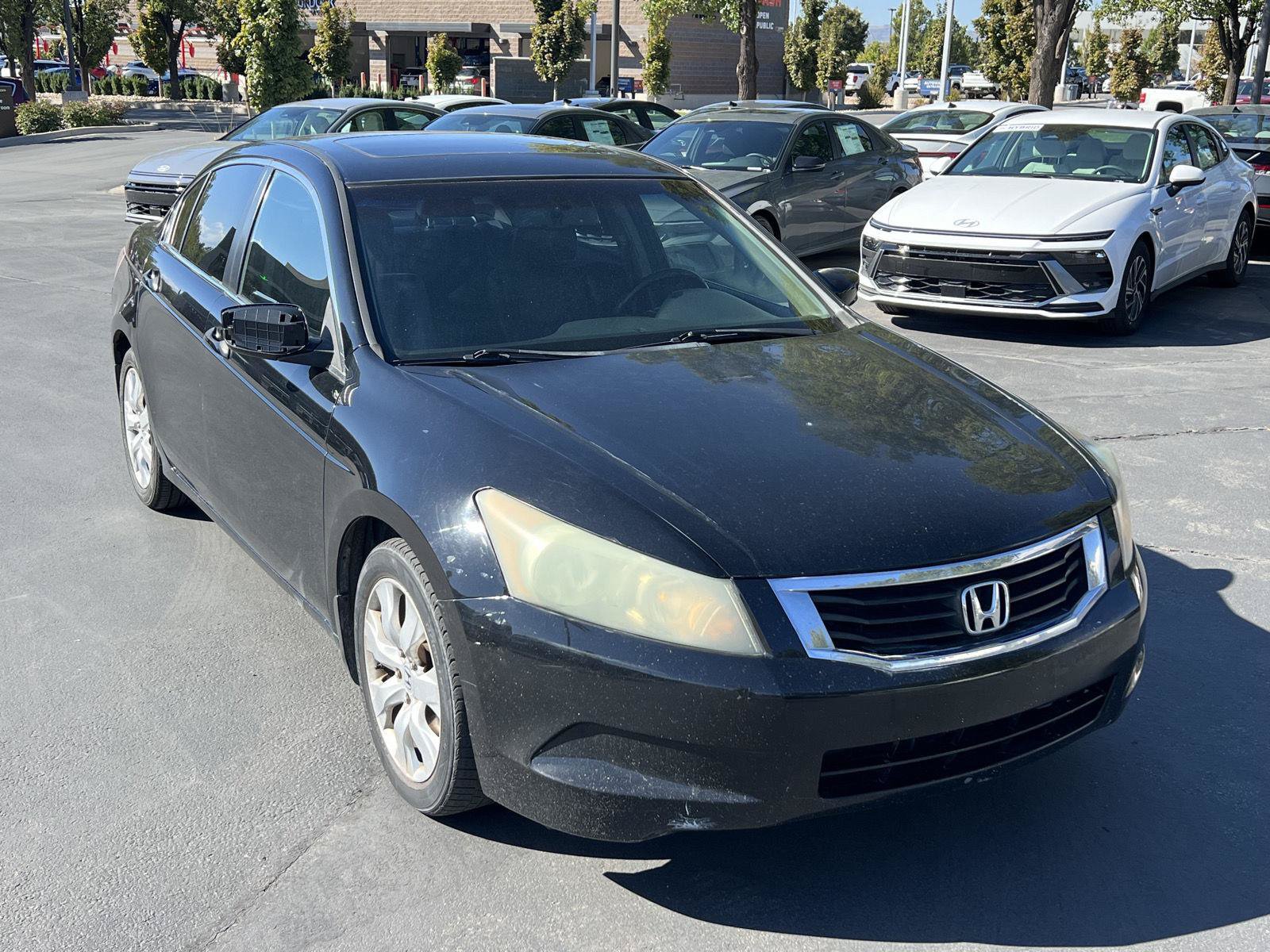 Used 2010 Honda Accord EX-L image 15
