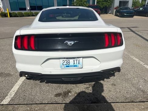 Used 2018 Ford Mustang Coupe w/ Equipment Group 101A RWD image 2