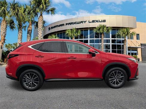 Certified 2025 Lexus NX 250 FWD w/ Cold Area Package image 3